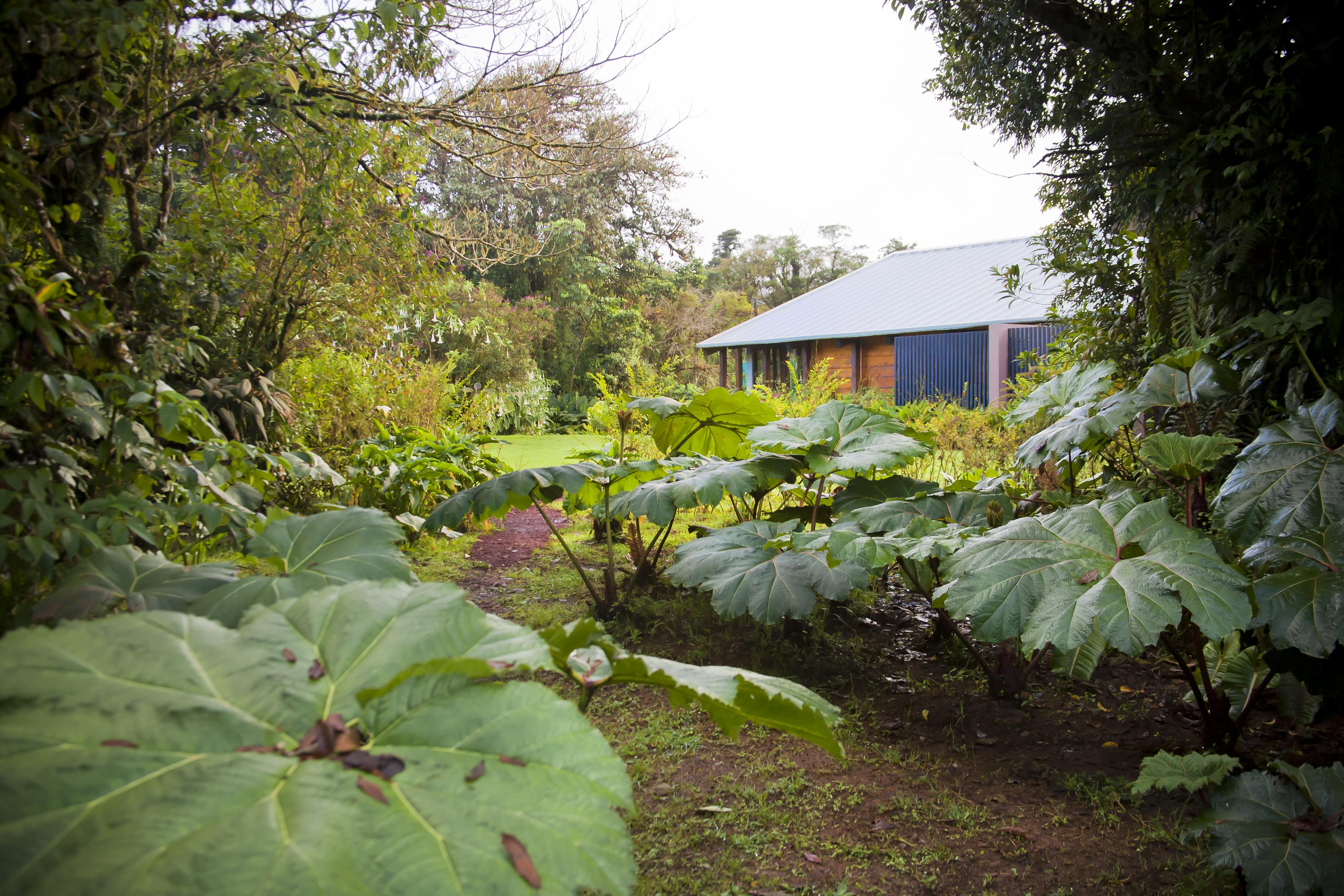 Poas Volcano Lodge Vara Blanca  Eksteriør billede